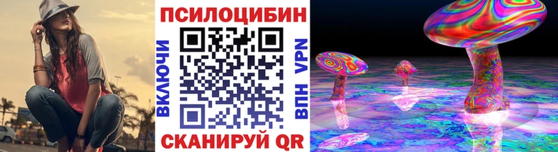 Псилоцибиновые грибы Psilocybine cubensis  Мурино 